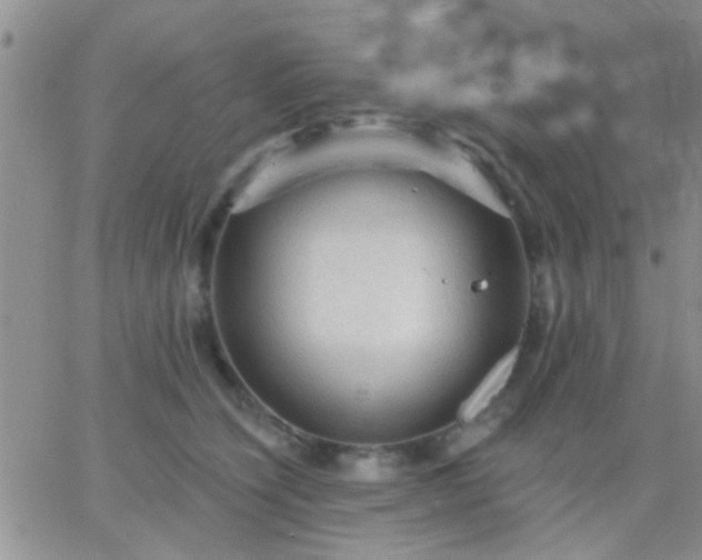 X0000066120564200603171757