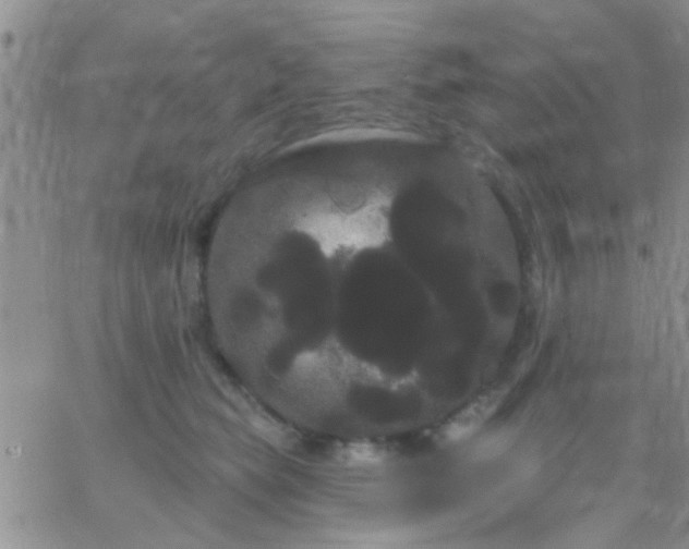 X0000066120565200603171757