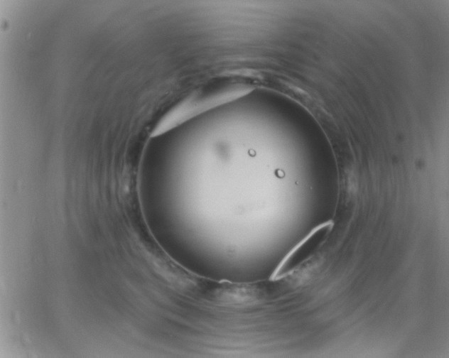 X0000066120567200603171757