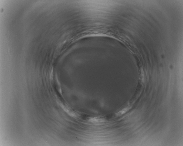 X0000066120568200603171757