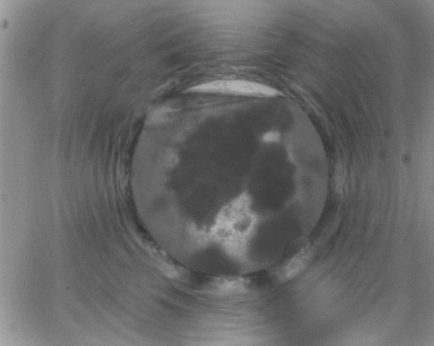 X0000066120569200603171757