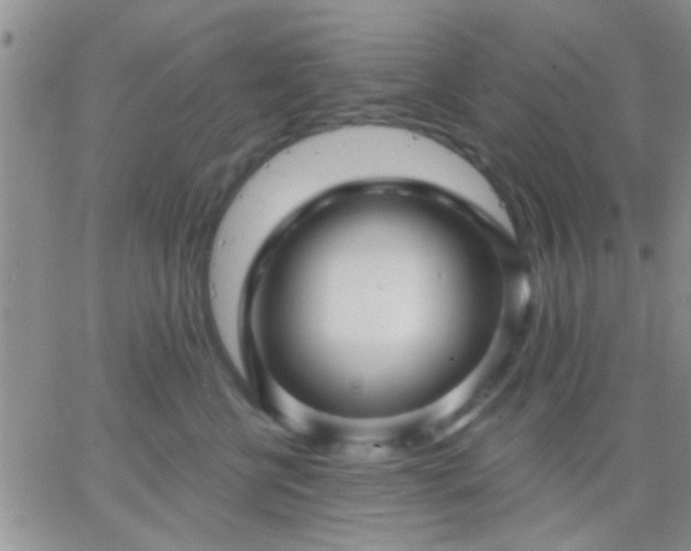 X0000066120570200603171757