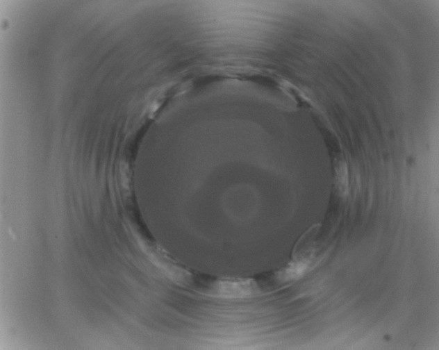 X0000066120571200603171757