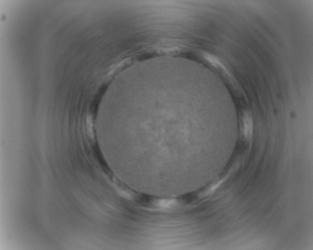 X0000066120575200603171757