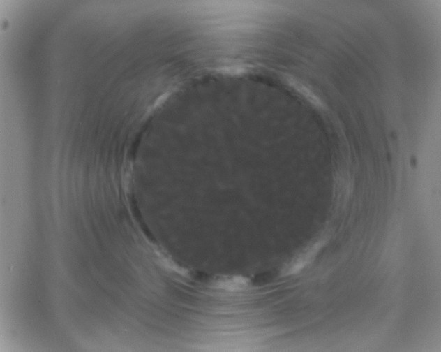 X0000066120576200603171757