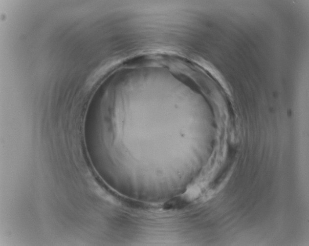 X0000066120577200603171756