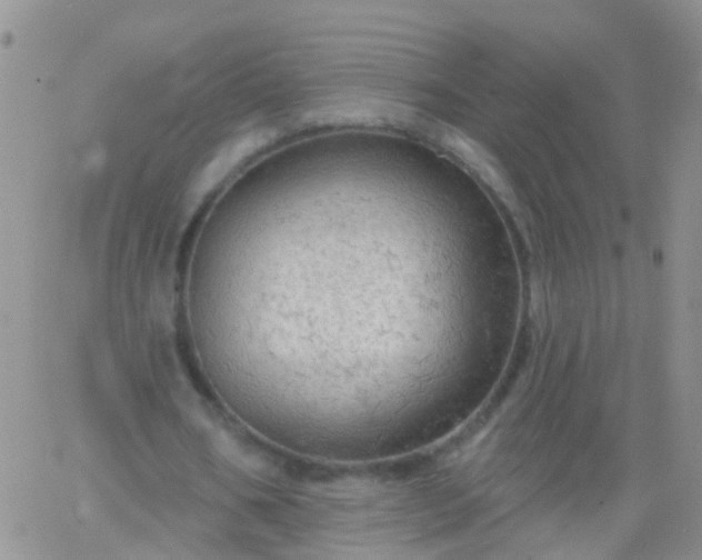 X0000066120578200603171756