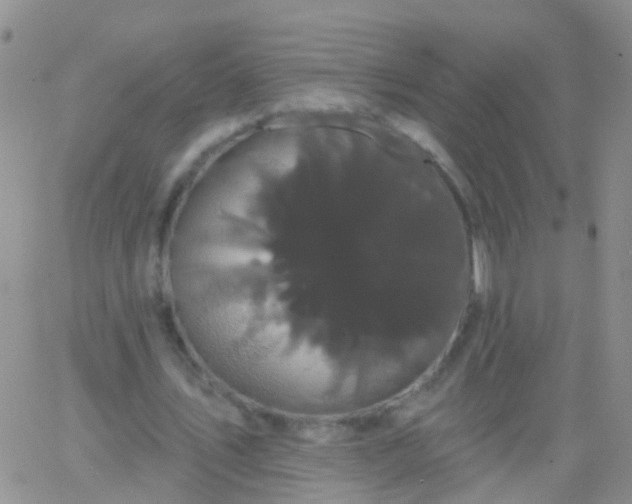 X0000066120579200603171756