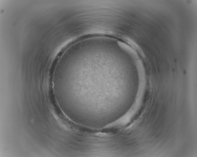 X0000066120580200603171756