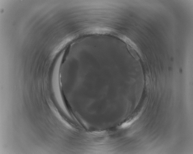 X0000066120581200603171756