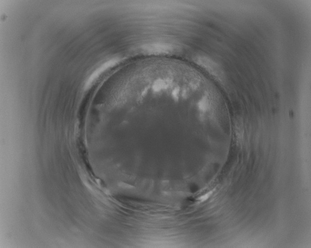 X0000066120583200603171756