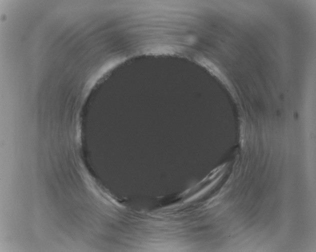 X0000066120584200603171756