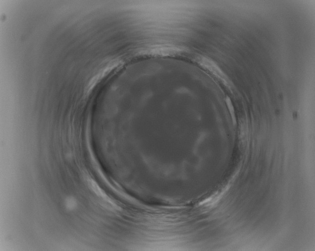 X0000066120585200603171756