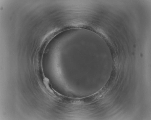 X0000066120587200603171756