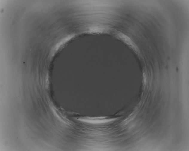 X0000066120588200603171756