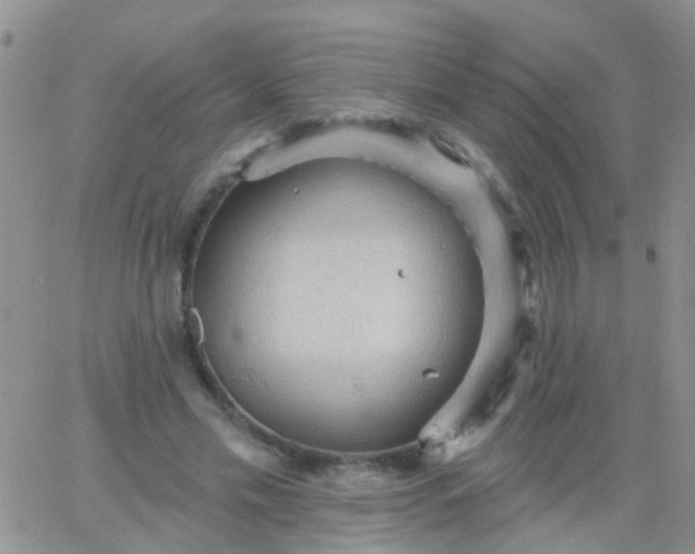 X0000066120589200603171756