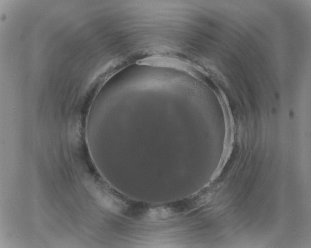 X0000066120591200603171756