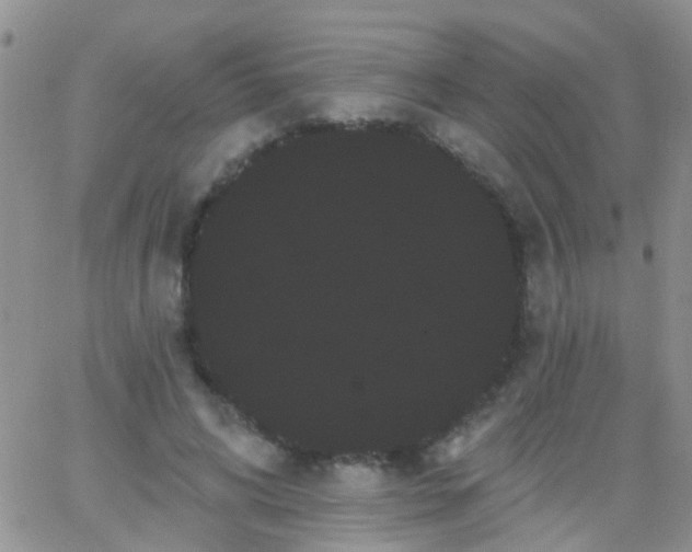 X0000066120592200603171756