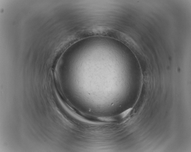 X0000066120593200603171756