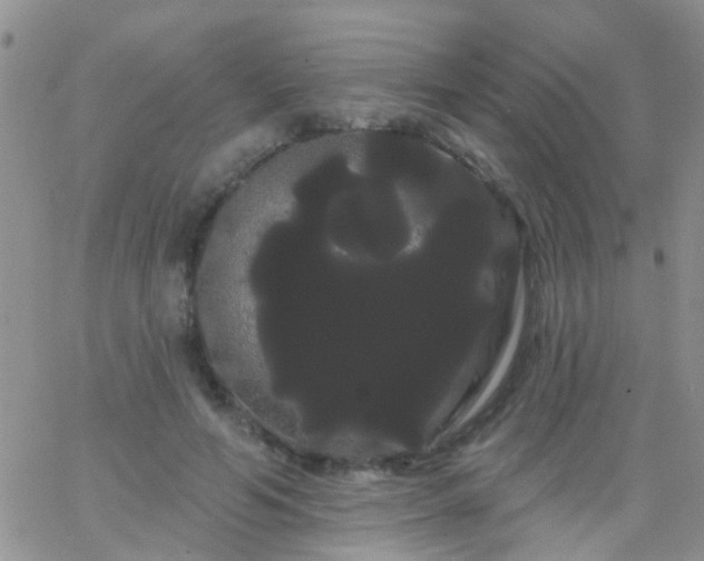 X0000066120594200603171756