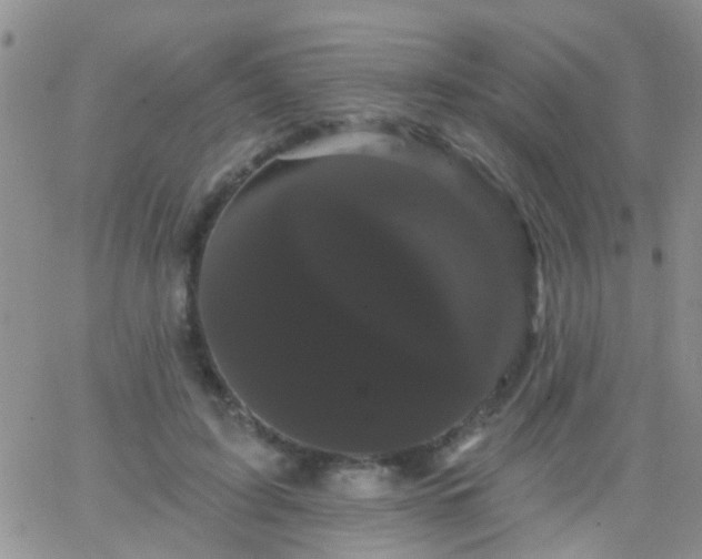 X0000066120595200603171756