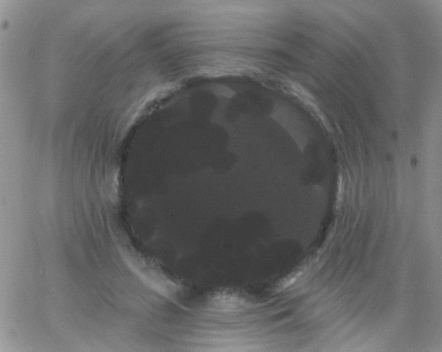 X0000066120596200603171756