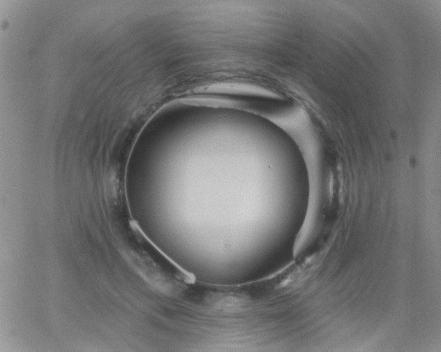 X0000066120597200603171756