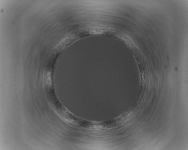 X0000066120598200603171756