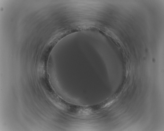 X0000066120599200603171756