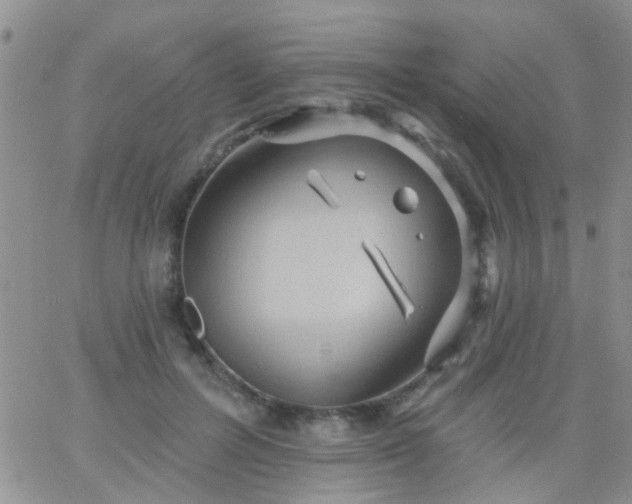 X0000066120600200603171756