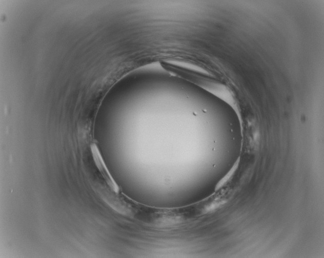 X0000066120601200603171756