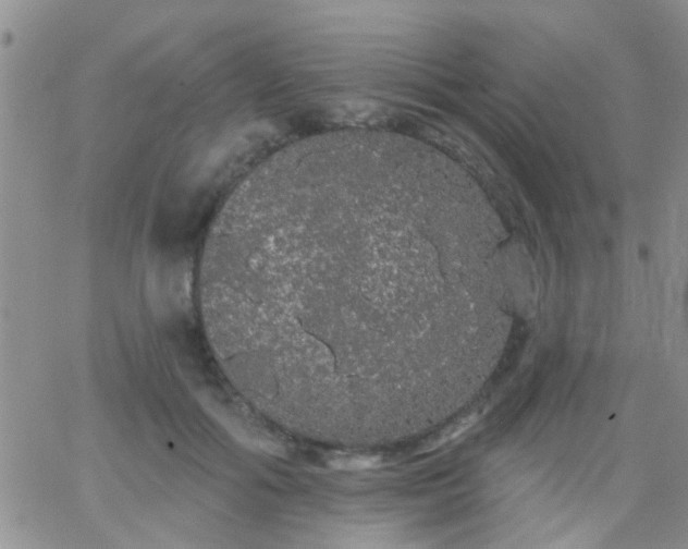 X0000066120602200603171756