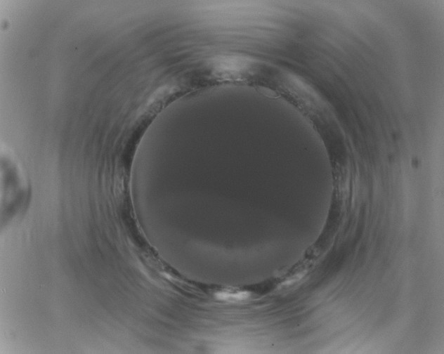 X0000066120603200603171756