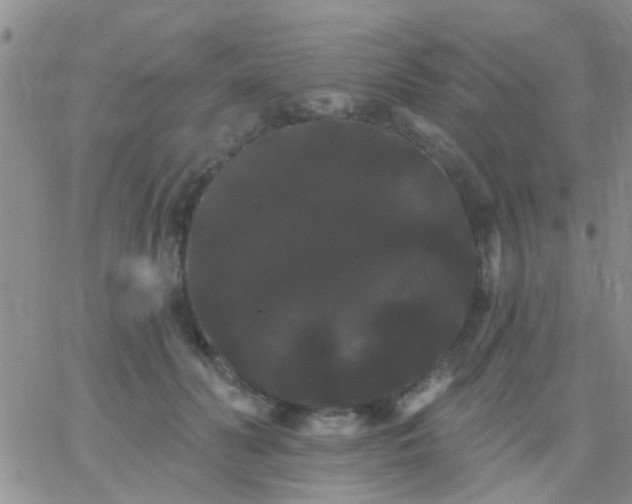 X0000066120606200603171756