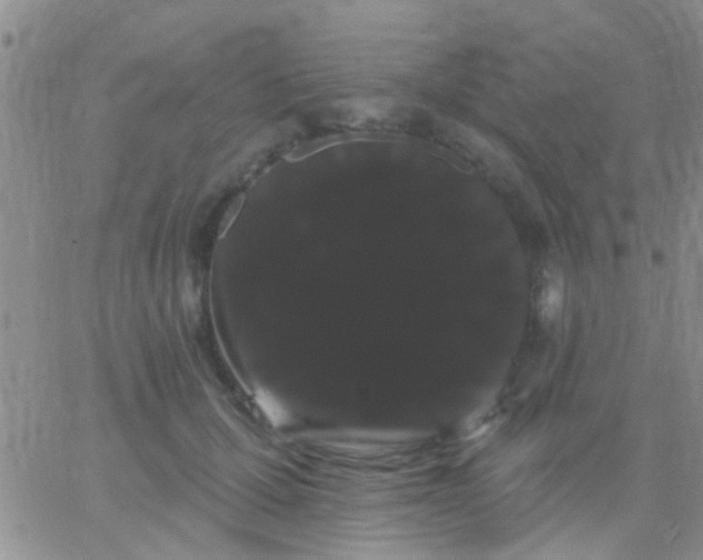 X0000066120607200603171756