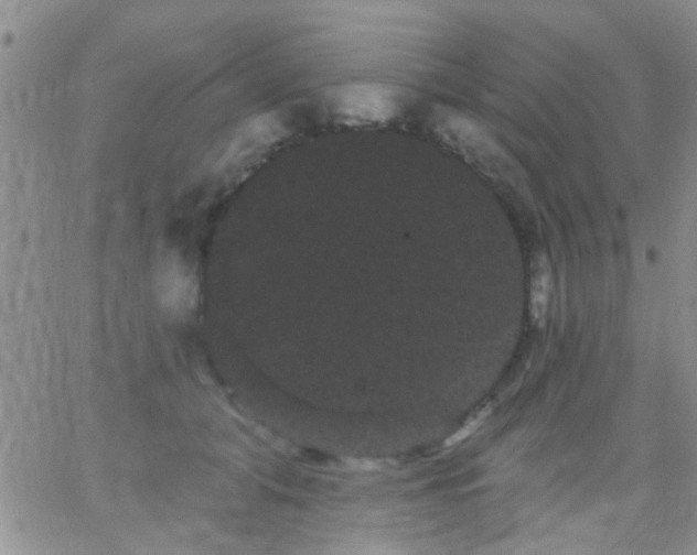 X0000066120608200603171756