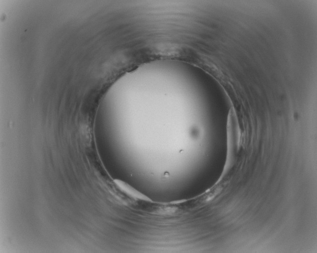 X0000066120609200603171755