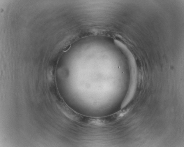 X0000066120611200603171755