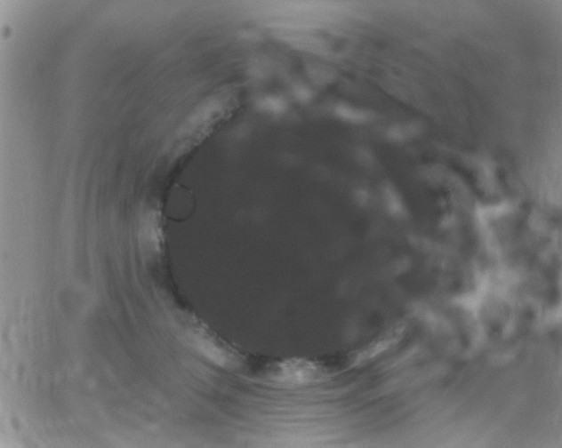 X0000066120612200603171755