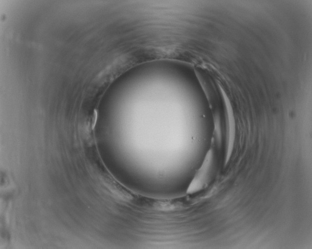 X0000066120613200603171755