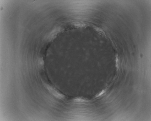 X0000066120614200603171755