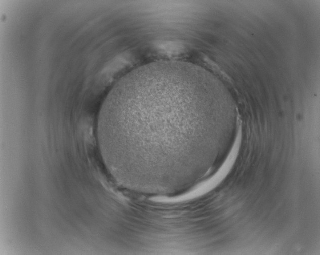 X0000066120615200603171755