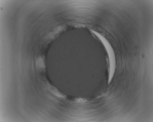 X0000066120616200603171755