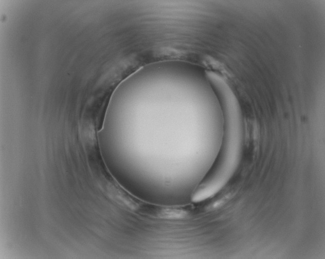 X0000066120617200603171755