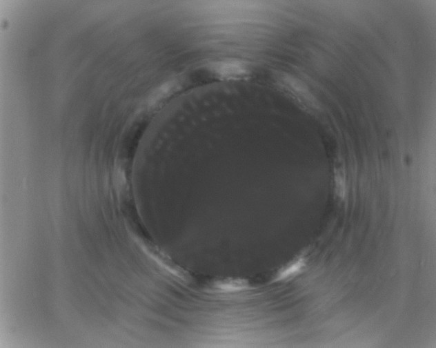 X0000066120618200603171755