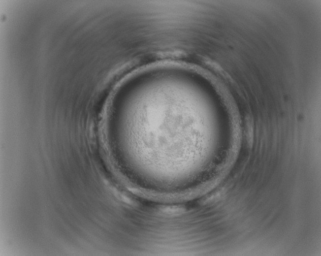 X0000066120619200603171755