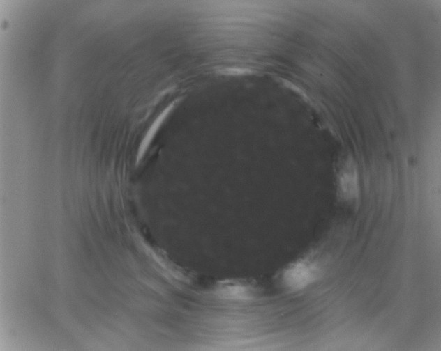 X0000066120620200603171755