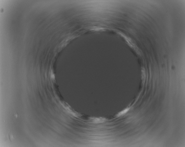 X0000066120621200603171755