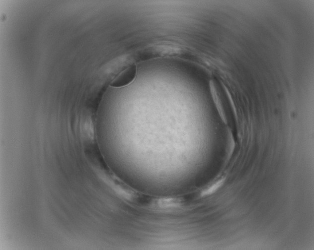 X0000066120622200603171755