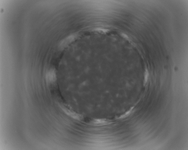 X0000066120623200603171755